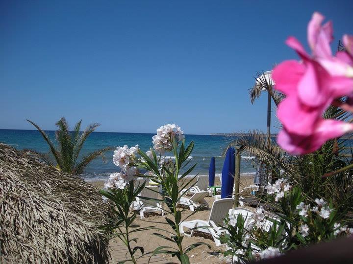 Vista Mare Apartment Трапето Екстериор снимка
